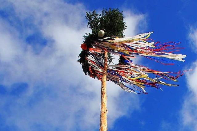 Fotos: So war das Narrenbaumstellen 2018 in Rheinfelden