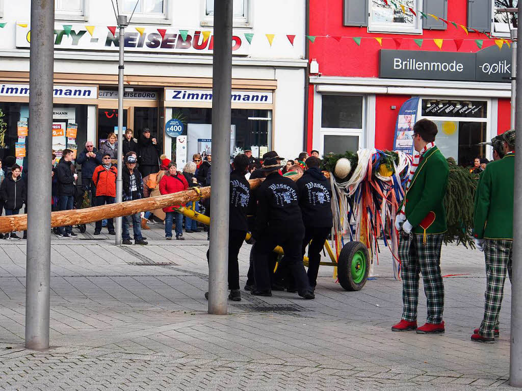 Narrenbaumstellen in Rheinfelden.