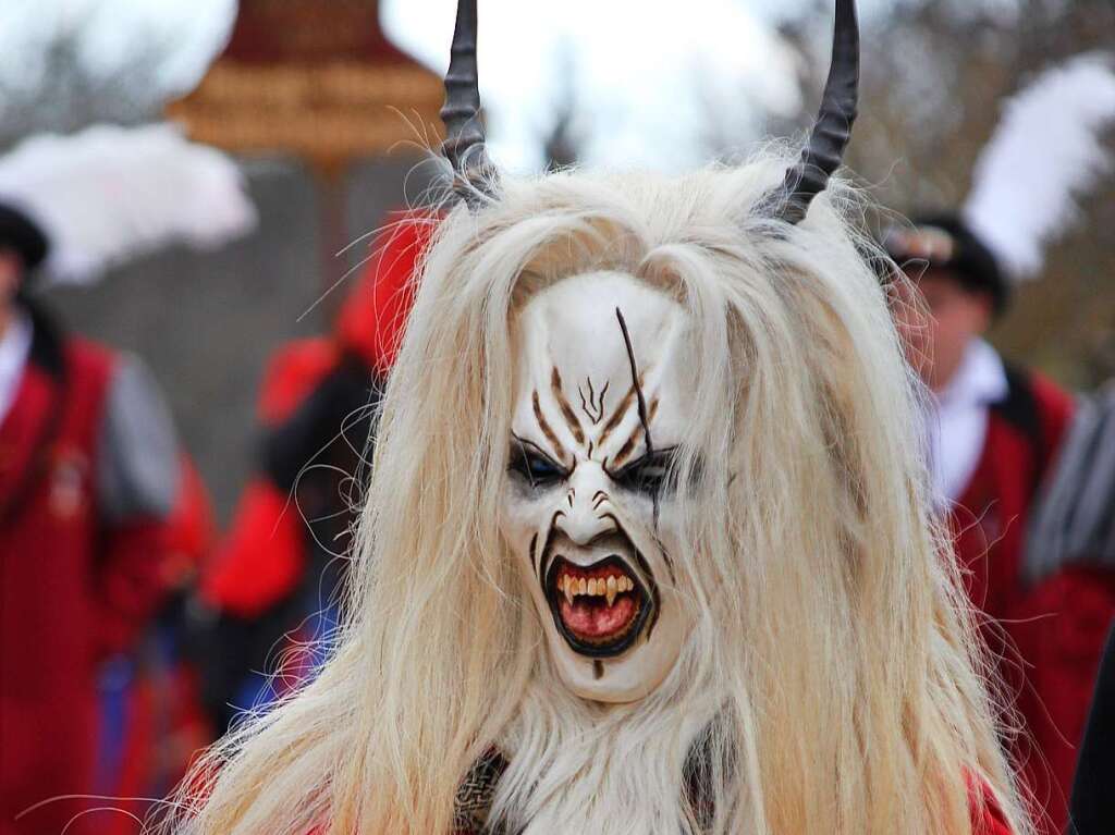 Aus Anlass des 50-jhrigen Bestehens der Geienzunft hatte die Jubilarin zum groen Umzug eingeladen. Ungefhr 50 Znfte und Vereine aus ganz Sdbaden kamen angereist, um an dem traditionellen Spektakel teilzunehmen.