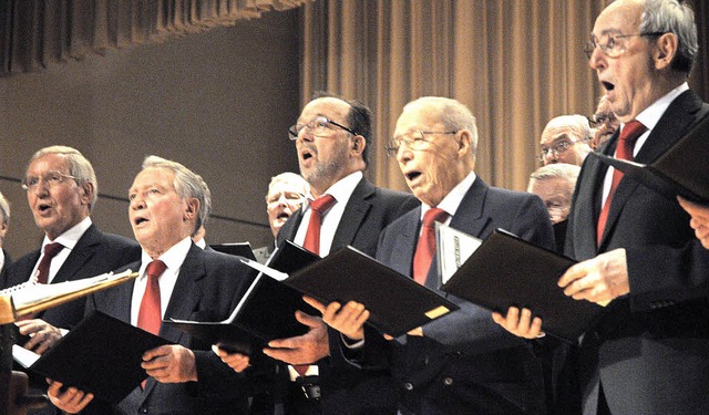 Der Mnnerchor des Gesangvereins Haltingen besang den Zauber einer Mondnacht.  | Foto: Regine Ounas-Krusel