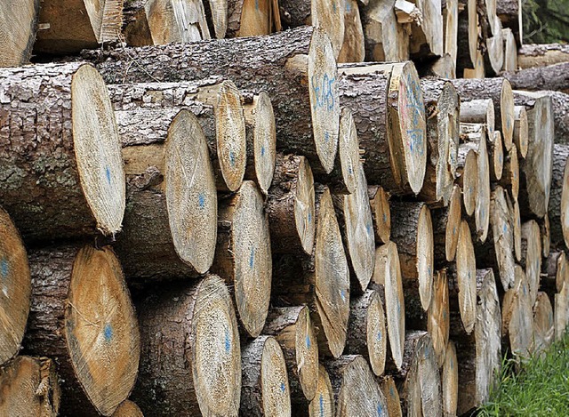 Holzernte ist nur ein Nutzfaktor des Waldes neben Schutz und Erholung.  | Foto: Wendel