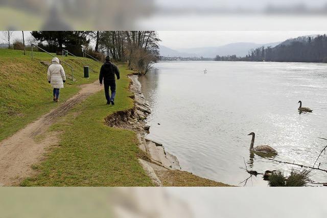 Rheinliebe-Projekte werden realisiert