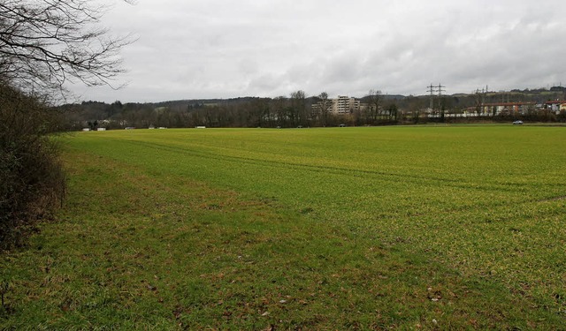 Ein Standort fr das neue Spital? Die ...biet entlang der Hauensteiner Strae.   | Foto: Manfred Dinort