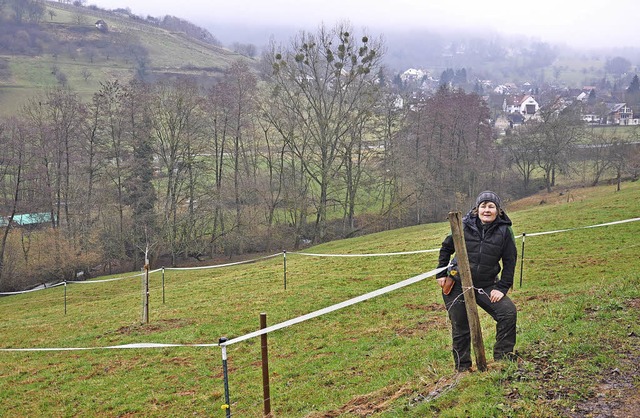 Roswitha Rombach mchte mit Brgern da...eln mit Mistelbewuchs am Rammisbchle.  | Foto: Jutta Schtz