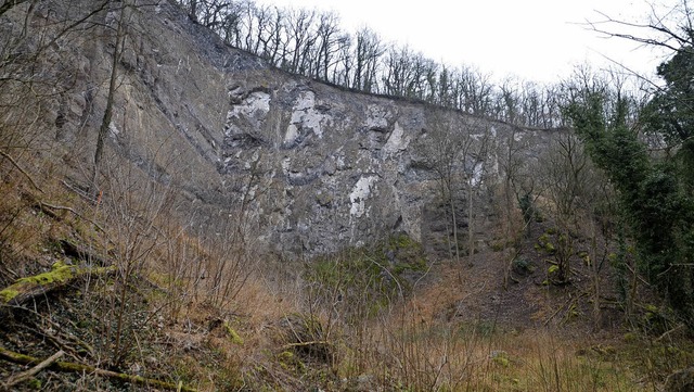 Der Steinbruch am Humberg bei Jechtingen  soll kologisch aufgewertet werden.  | Foto: Roland Vitt