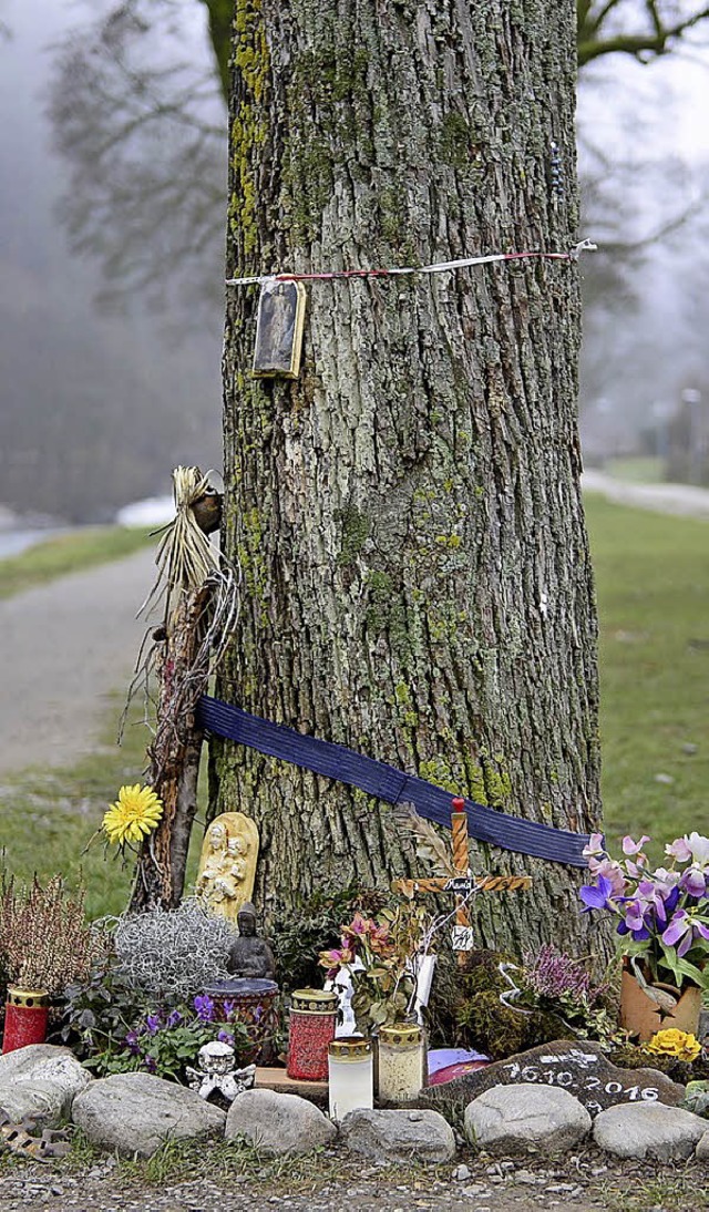 Ein Baum in der Nhe des Tatorts an der Dreisam wurde zur Gedenkstelle.   | Foto:  Ingo Schneider