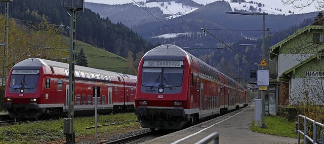 Statt Zgen werden ab Anfang Mrz Ersatzbusse im Hllental unterwegs sein.   | Foto:  Markus Donner