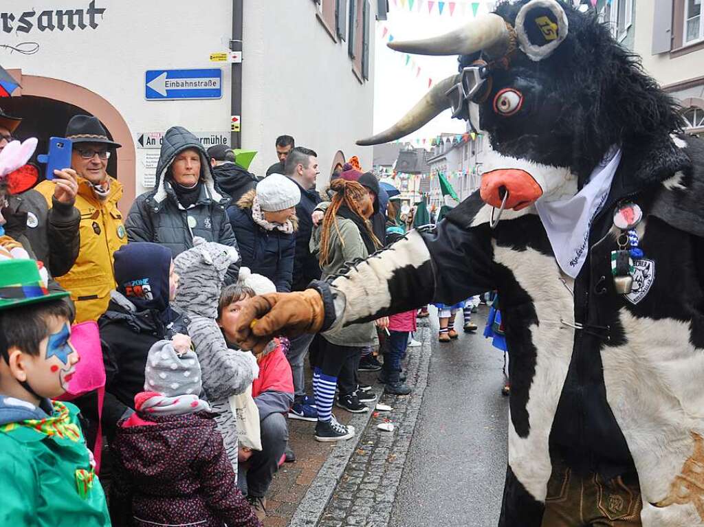 Selbst Regen und Klte knnen echte Narren nicht vom Feiern abbringen. Der Kanderner Umzug war bunt wie eh und je und fand wieder groen Anklang.