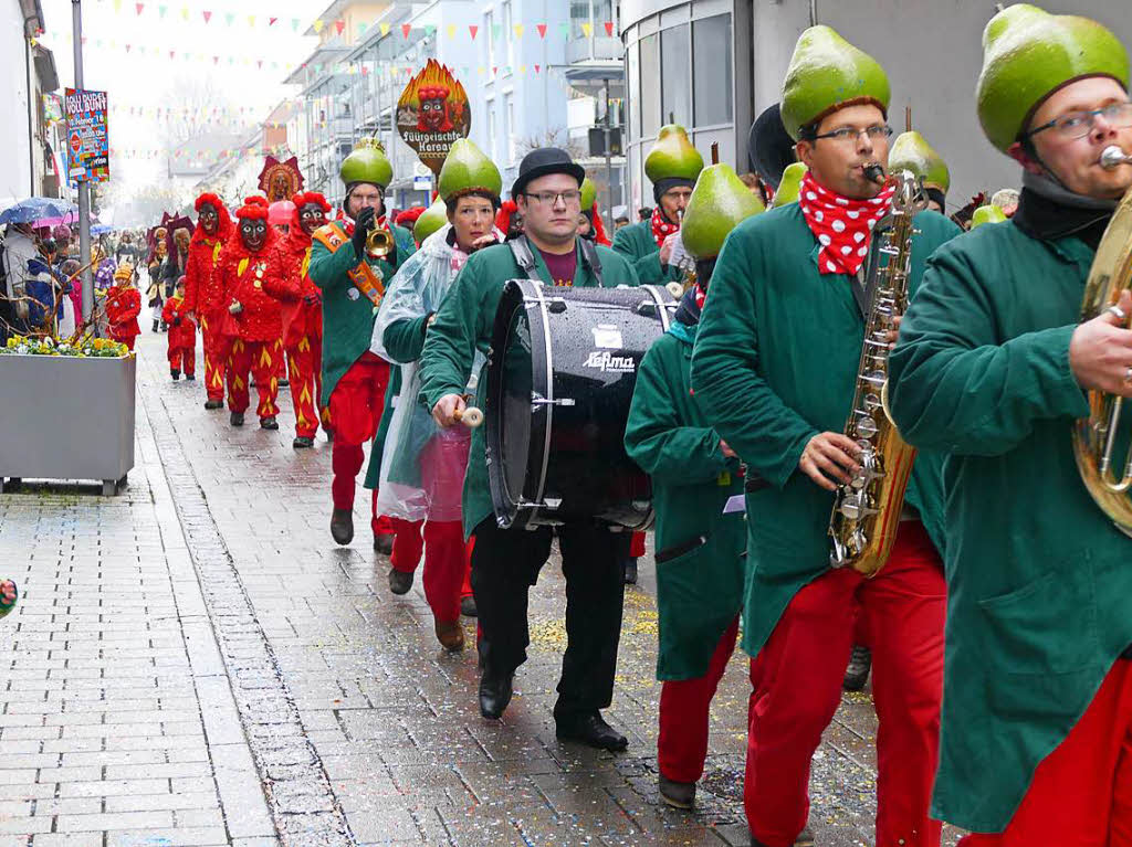 Impressionen vom grenzberschreitenden Rheinfelder Fasnachtsumzug