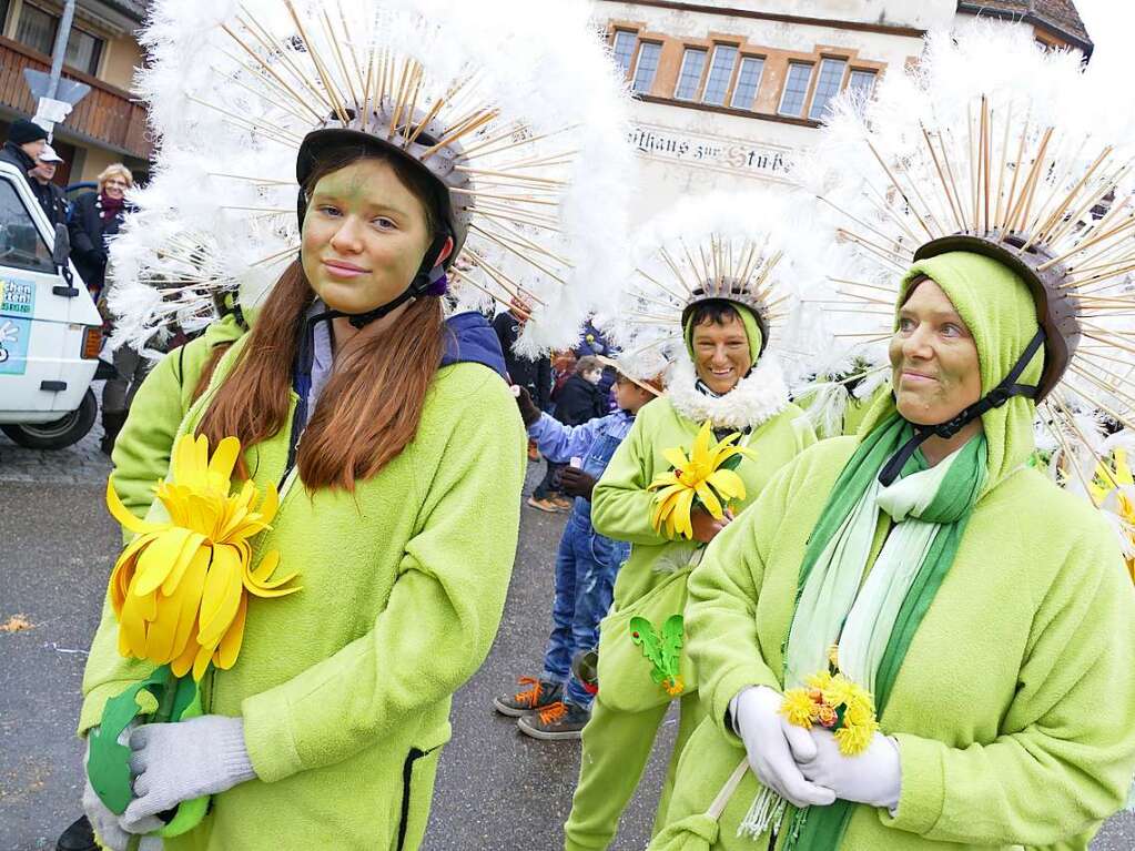 Hbsche Frhlingsboten: Pusteblumen vom Handharmonikaverein