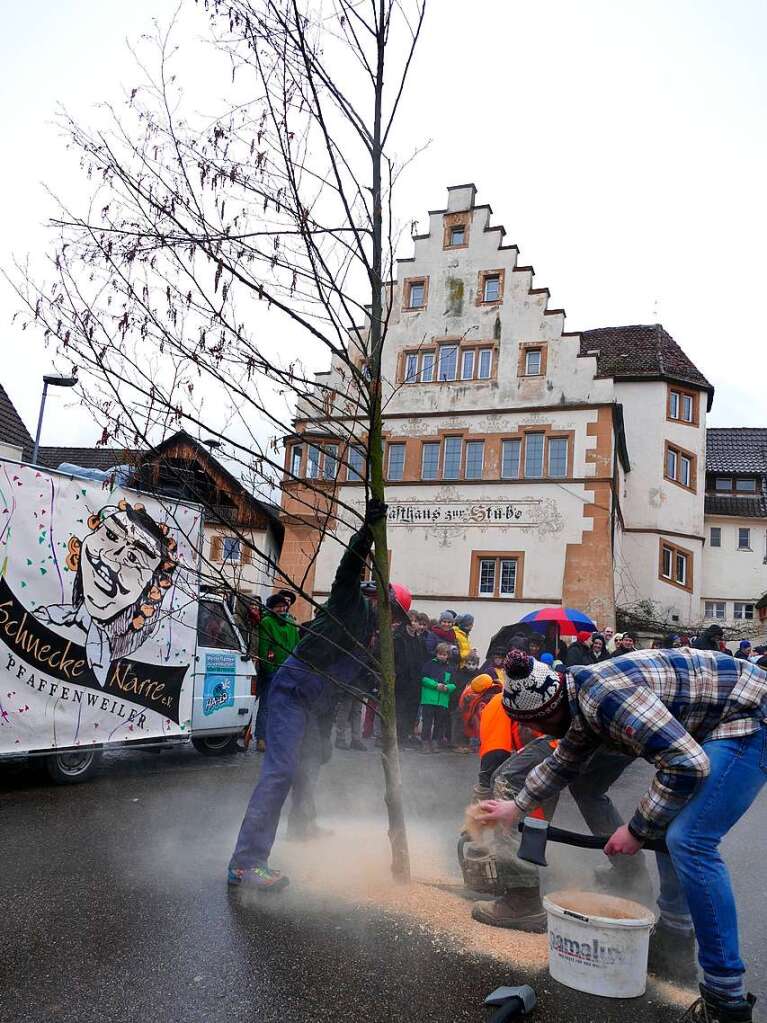 Vorsicht! Baumfllarbeiten auf der Weinstrae. Nichts ist vor diesen Waldarbeitern (eigentlich VfR-Kicker) sicher. Nur zum Steinbruch mssen sie eigentlich nicht mehr, da ist schon alles abgeholzt.