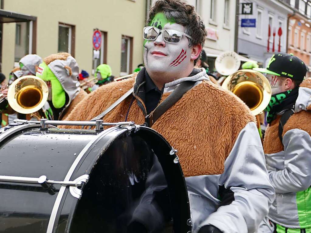 Impressionen vom Fasnachtsmndigumzug 2018 in Bad Sckingen