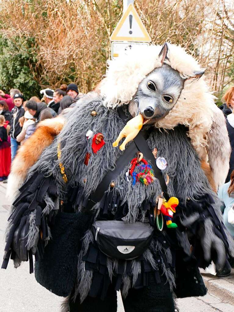 Impressionen vom Fasnachtsmndigumzug 2018 in Bad Sckingen