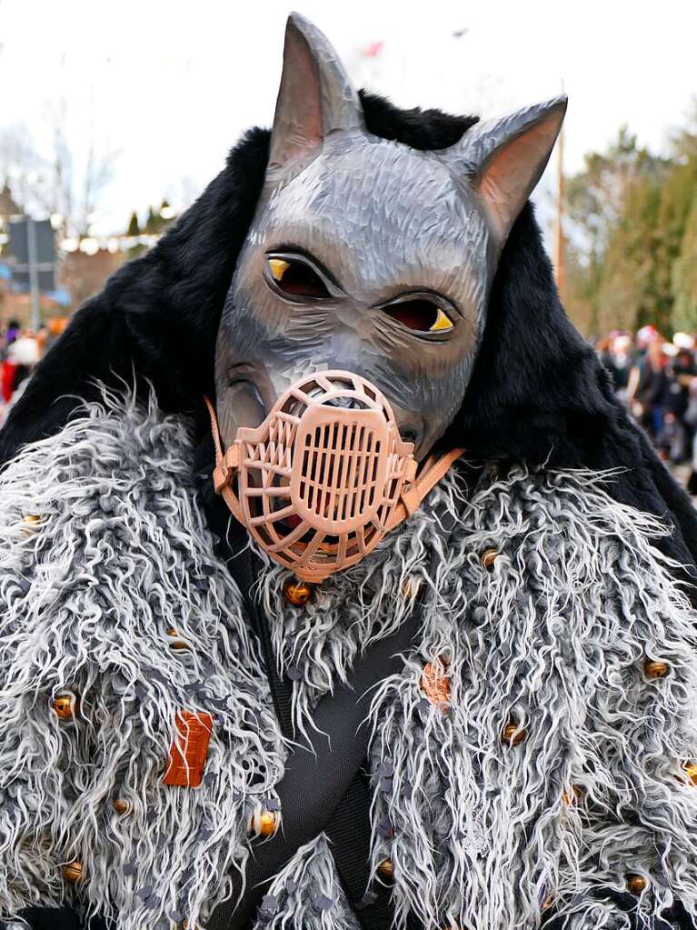 Impressionen vom Fasnachtsmndigumzug 2018 in Bad Sckingen