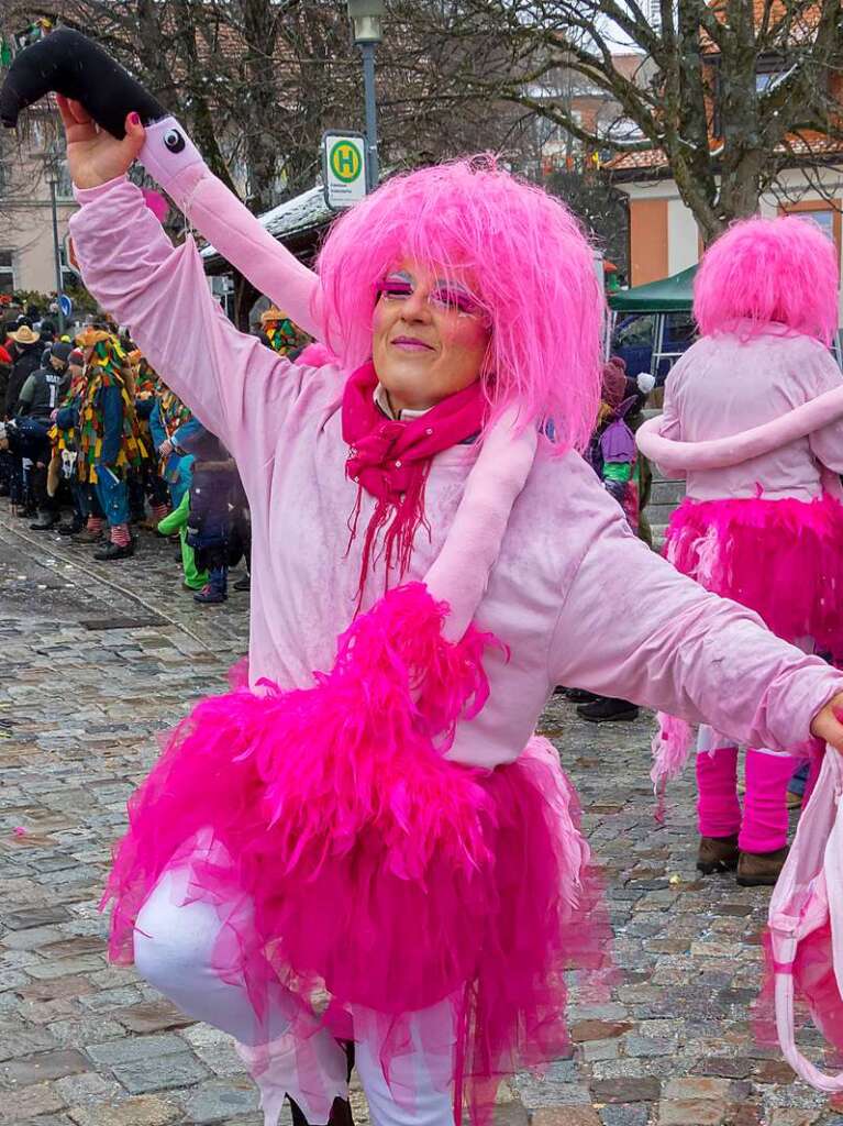 Buntes Narrentreiben herrschte beim Fasnachtsumzug in Grafenhausen.