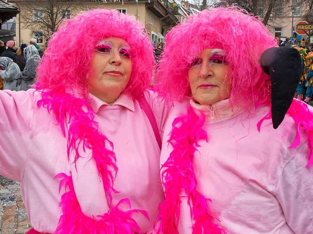 Buntes Narrentreiben herrschte beim Fasnachtsumzug in Grafenhausen.