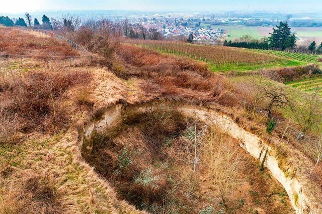 Der Kahlenberg ist an vielen Stellen einsturzgefhrdet