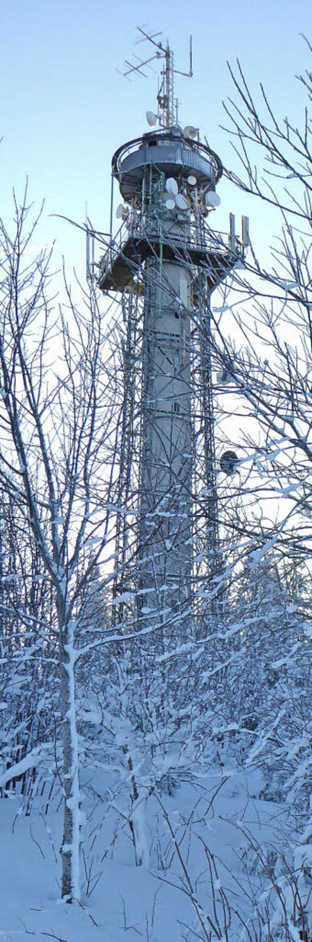 Frost-Pfosten Hochfirstturm  | Foto: Peter Stellmach