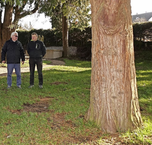 Baumbestattung auf dem  Friedhof Wiech...it markierten  Pltze fr zehn Urnen.   | Foto: Hege
