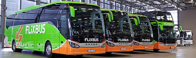 Diese vier Fernbusse gehren neu zum  ...es innovativen Binzener Unternehmens.   | Foto: Stiefvater