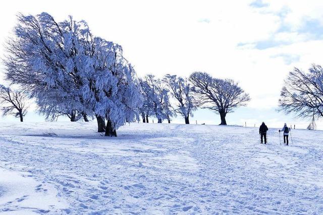 Fotos: Wintermrchen rund um den Schauinsland