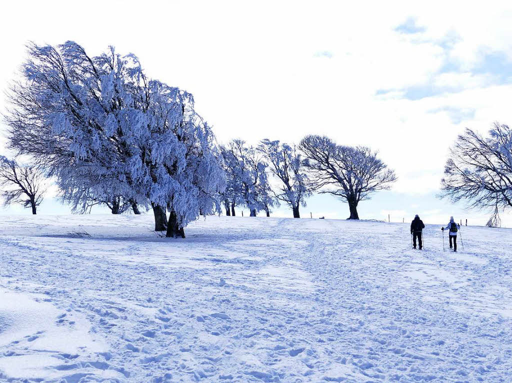 Die verschneite Landschaft rund um den Schauinsland ist ein Gedicht. Bei strahlendem Sonnenlicht genieen Wintersportler und Ausflgler den Schnee.