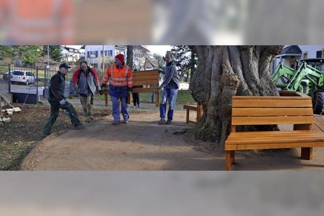 Pfarrhauslinde ldt zum Verweilen ein