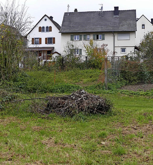 Das Gelnde, auf dem der Stall gebaut ...soll, gehrt der Familie des Bauherrn.  | Foto: Langelott