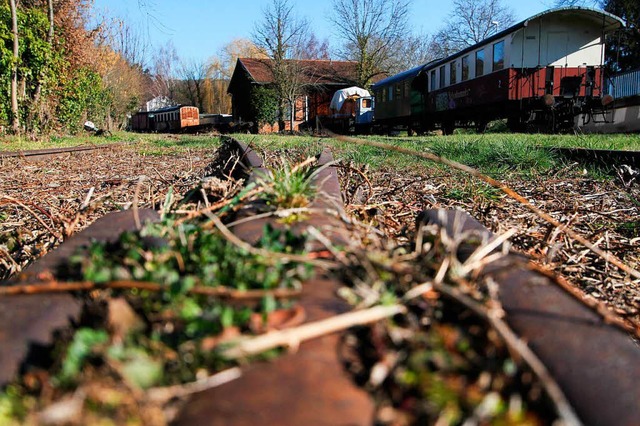 Zwischen Schienen wuchert Unkraut: Mus...senbahnfreunde an der Weinstockstrae.  | Foto: Patrik Mller