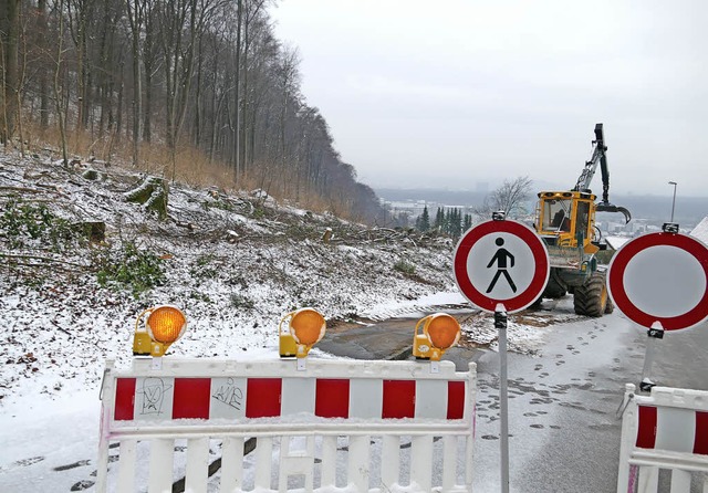 Am Donnerstag waren die Hiebarbeiten beendet, es folgten Aufrumarbeiten.  | Foto: Ingrid Bhm-Jacob