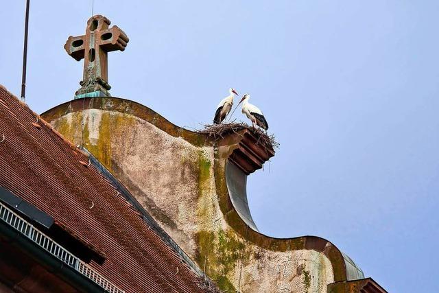 Das Storchennest auf der Kirche ist verschwunden
