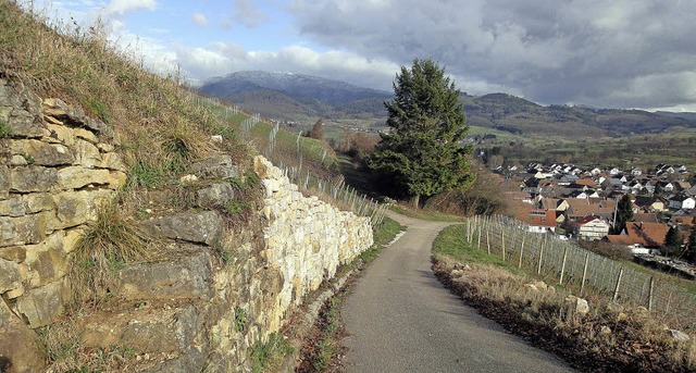 Kontrastreich prsentieren sich die Mauern am Trockenmauerweg im Eggenertal.  | Foto: Silke Hartenstein
