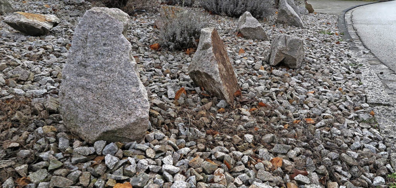 Graue Steinwüste statt grünem Rasen: G...hlecht für die Umwelt, sagt die Agus.   | Foto: dop