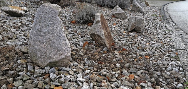 Graue Steinwste statt grnem Rasen: G...hlecht fr die Umwelt, sagt die Agus.   | Foto: dop
