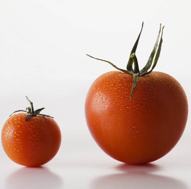 Mit der Tomate fing der Trend an.   | Foto: Adobe.com