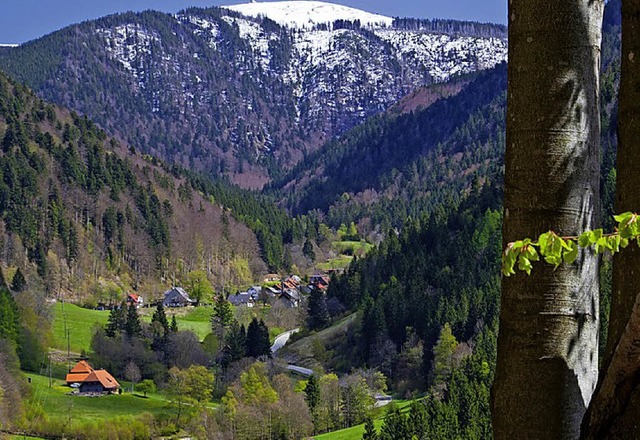 Schwarzwaldidylle: Die Landschaft im B...engebiet ist Thema einer Ausstellung.   | Foto: C. Emmler
