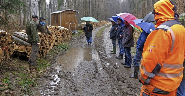 Mundinger Holzauktion bei jedem Wetter  | Foto: Georg Vo