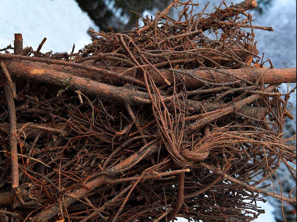 Gndelwangen Hinterdorf: Riiswelle ohne Draht oder Schnur, mit Knoten im Holz.