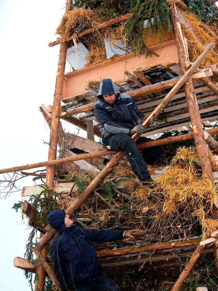 Holzschlag:  Nachhaltig heit das Wort - die Stangen stehen am nchsten Tag noch.