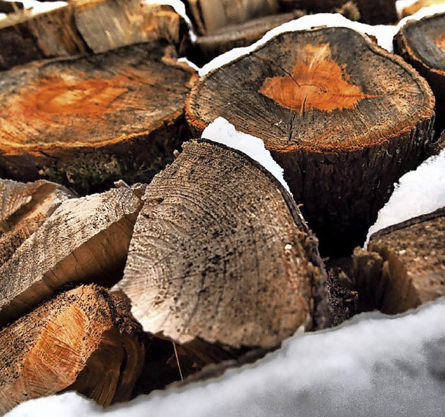 Sparkasse fr die Gemeinde: Holz aus dem Wald.   | Foto: Susanne Gilg