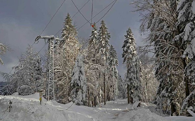 Freileitungen sind  anfllig fr Eis, Schnee und Sturm.   | Foto: NetzeBW