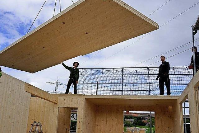 Traumhaus aus Holz