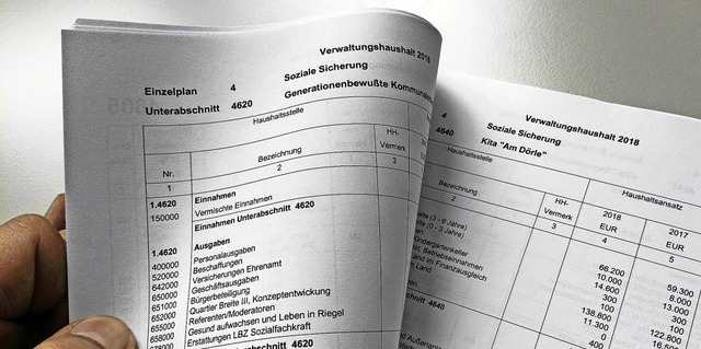 Der Haushalt 2018 ist der letzte Etat ...tige Struktur der kommunalen Finanzen.  | Foto: Martin Wendel