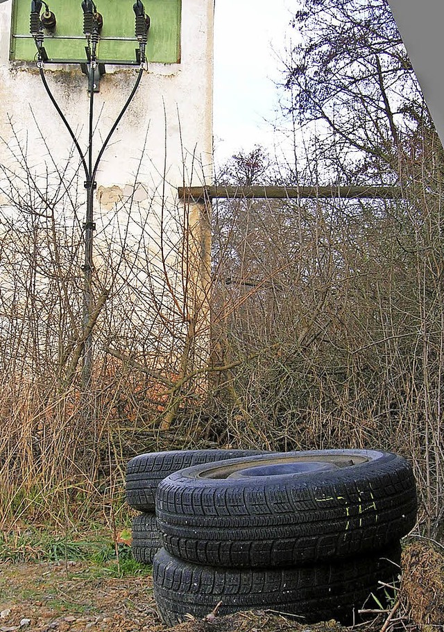 Leider  fast alltglich: Unbekannte la...ete soll  gemeinsam aufgerumt werden.  | Foto: Jahn