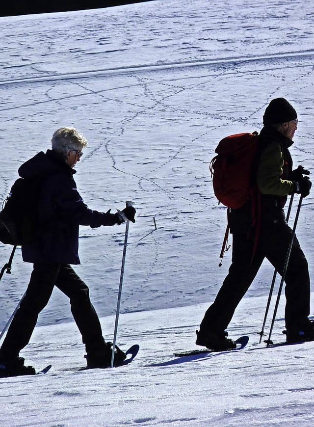 Neu im Angebot hatte der Ortsverein G...m vergangenen Jahr Schneeschuhwandern.  | Foto: Dirk Sattelberger