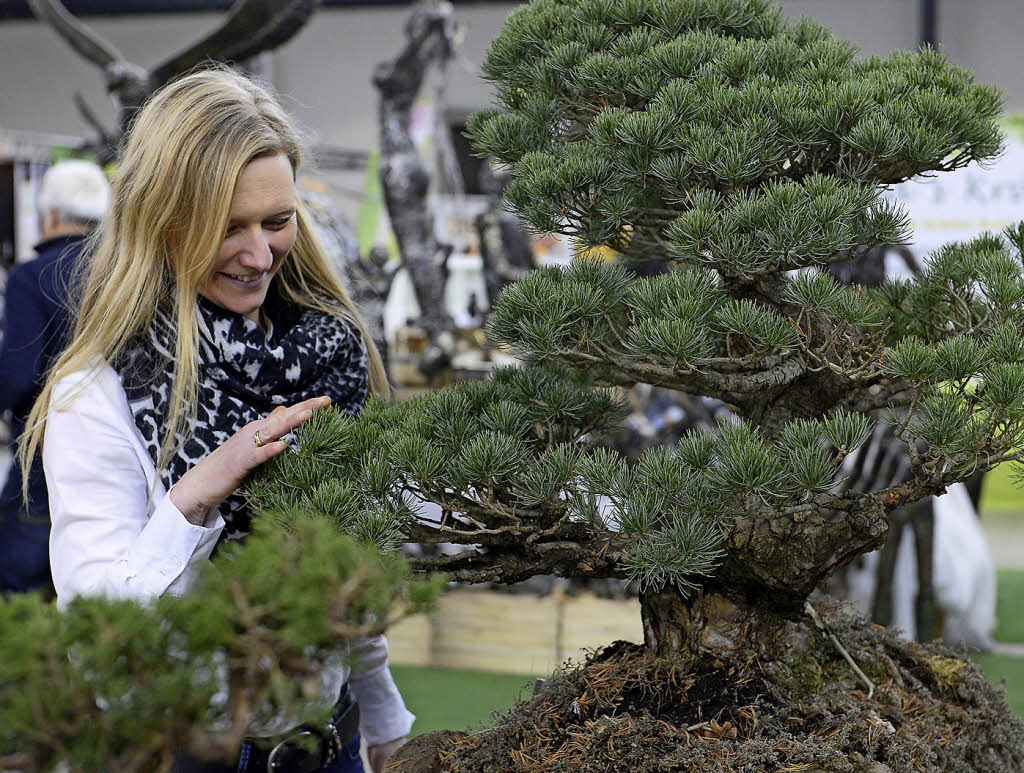 Bei der Gartenmesse „Gartenträume“ stellen Landschaftsplaner, Gärtner