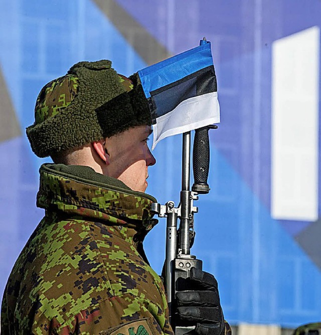 Mit einer Militrparade beging Tallinn sein Jubilum.  | Foto:  AFP