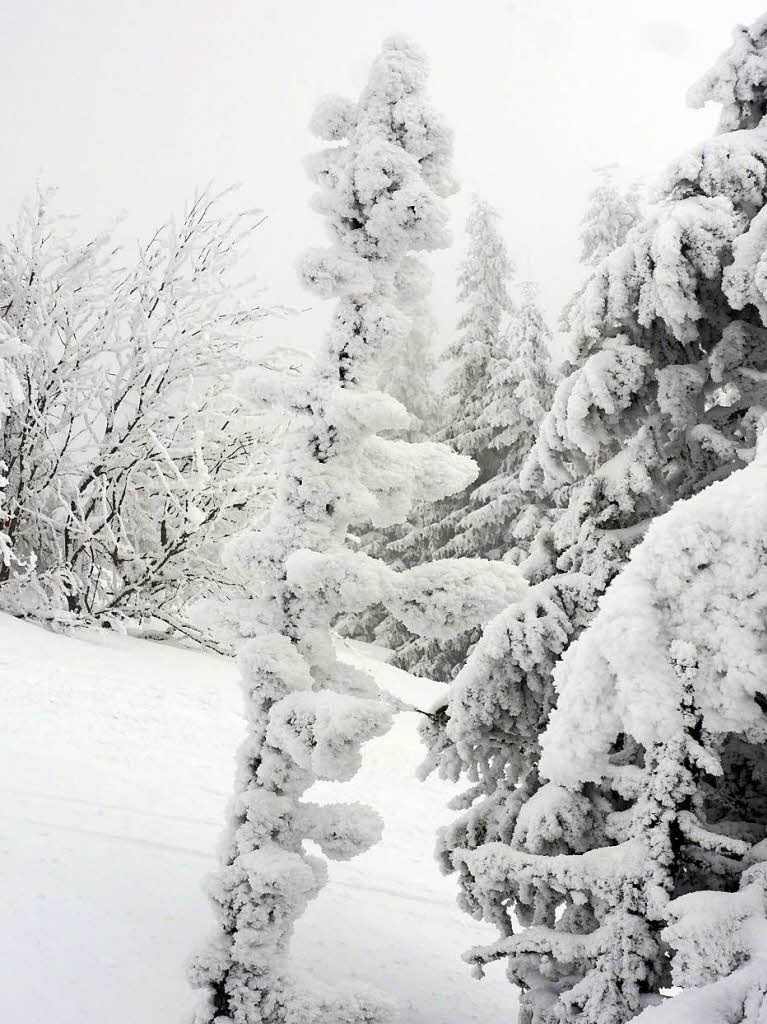 Spa im Tiefschnee und beeindruckende Winterbilder der Natur