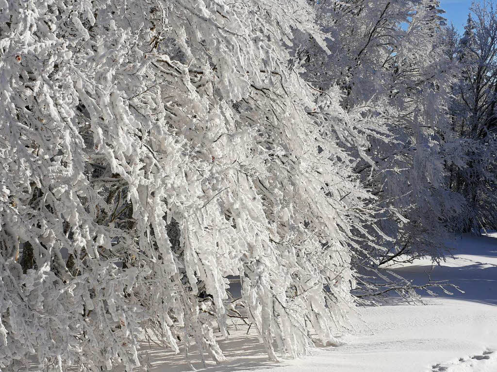 Spa im Tiefschnee und beeindruckende Winterbilder der Natur