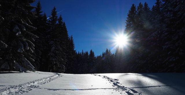 Der Schnee ldt ein zu Ski- oder Schneeschuhtouren - wie hier bei Neuglashtten.  | Foto: Susanne Gilg